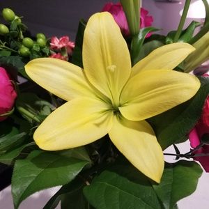 Meet your Posher, Diane